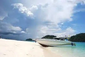 Unknown (4).webp