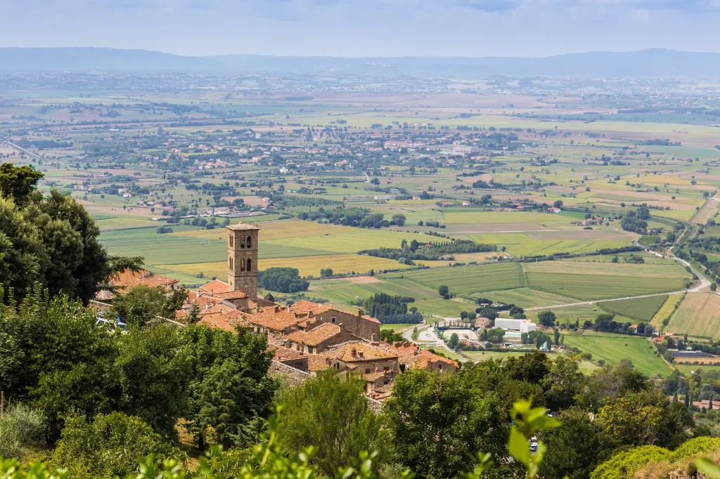 cortona4.webp