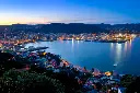 nz.webp