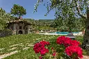 1920 (5).webp