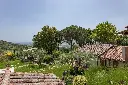 1920 (7).webp