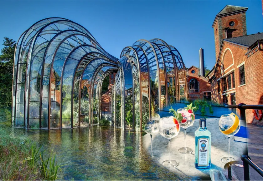 Bombay Sapphire B.webp