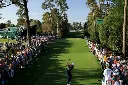 masters4.webp