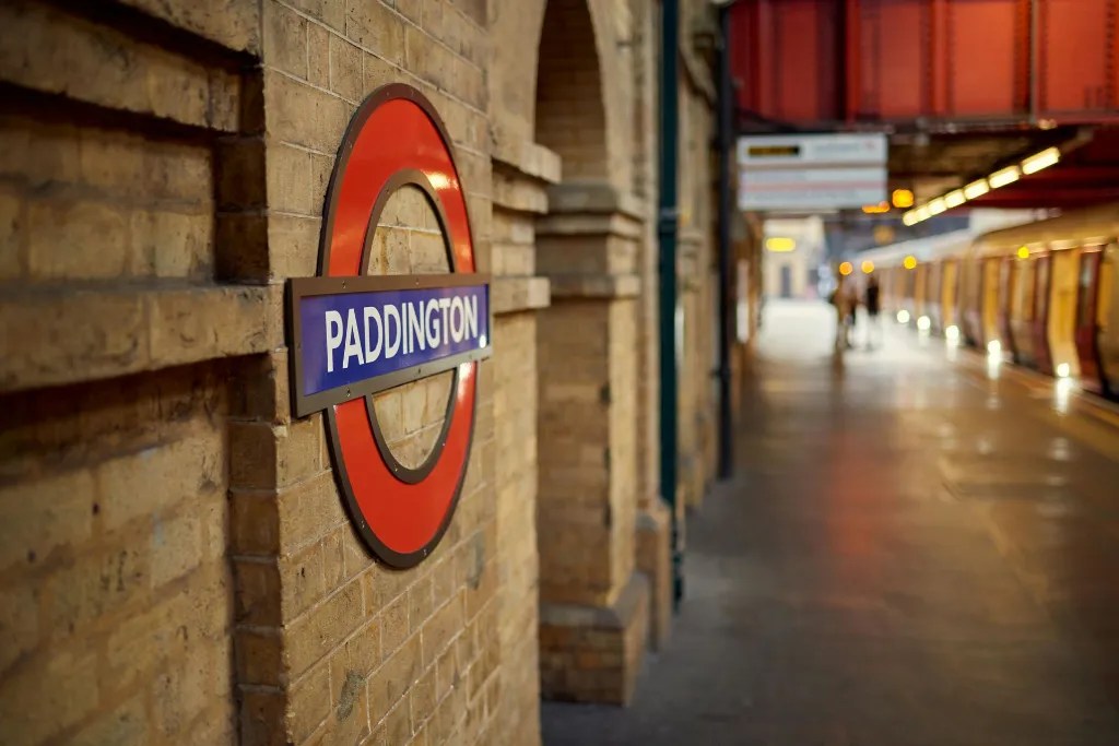 pad2.webp