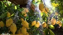 3c7aafc3-ab08-40f9-94da-24cc26d7d33d.webp