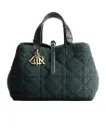 Dior Toujours Bag (Medium)